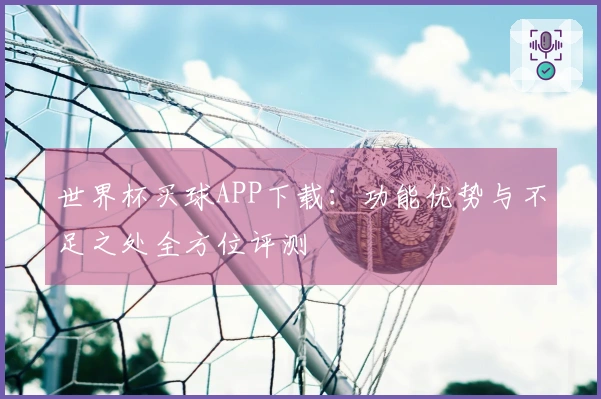 世界杯买球APP下载：功能优势与不足之处全方位评测