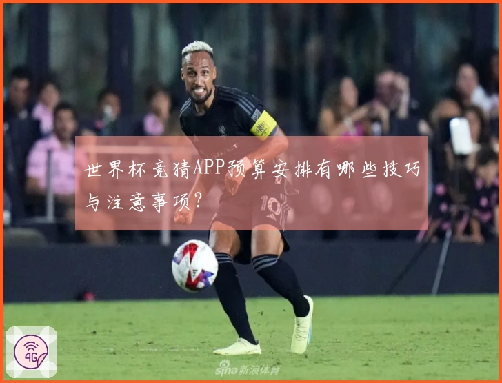 世界杯竞猜APP预算安排有哪些技巧与注意事项？