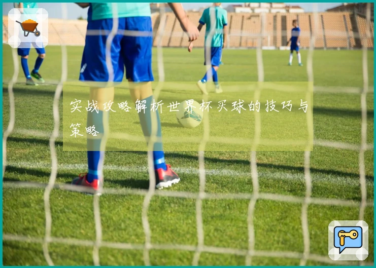 实战攻略解析世界杯买球的技巧与策略