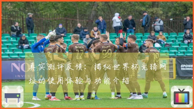 真实测评反馈:揭秘世界杯竞猜网址的使用体验与功能介绍