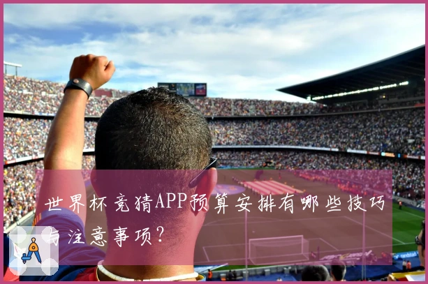 世界杯竞猜APP预算安排有哪些技巧与注意事项？