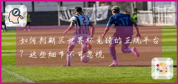 如何判断买世界杯竞猜的正规平台？这些细节不可忽视