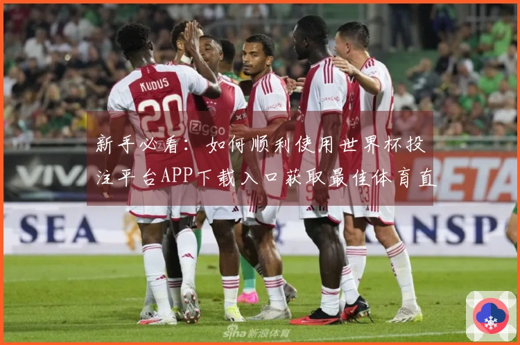 新手必看：如何顺利使用世界杯投注平台APP下载入口获取最佳体育直播体验