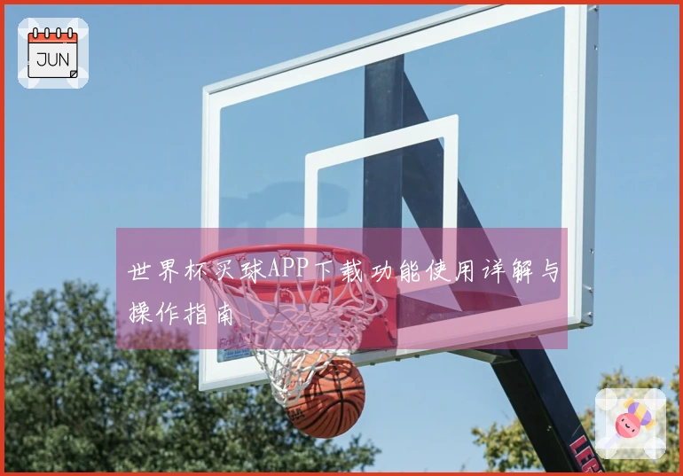 世界杯买球APP下载功能使用详解与操作指南