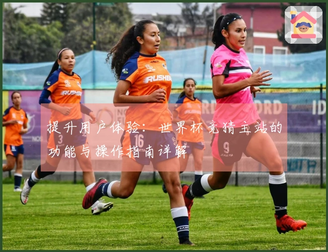 提升用户体验：世界杯竞猜主站的功能与操作指南详解