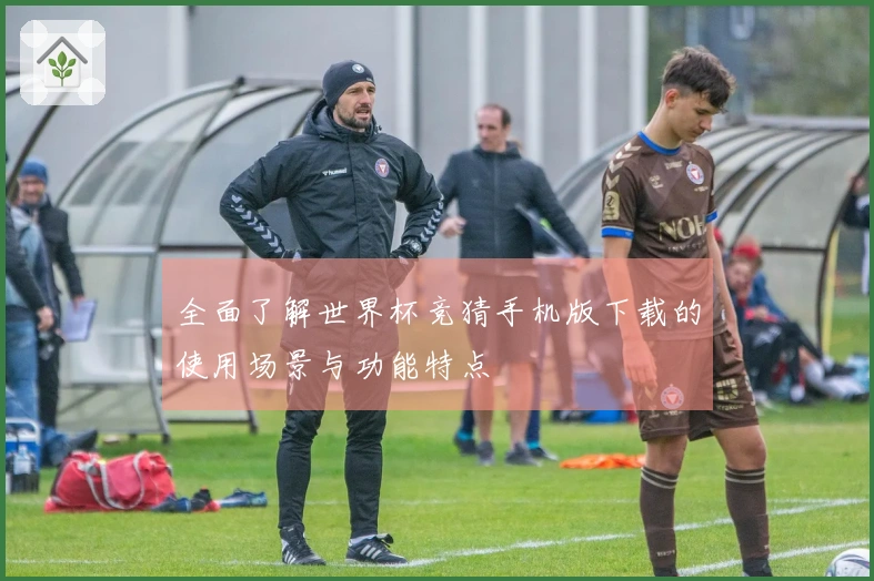 全面了解世界杯竞猜手机版下载的使用场景与功能特点
