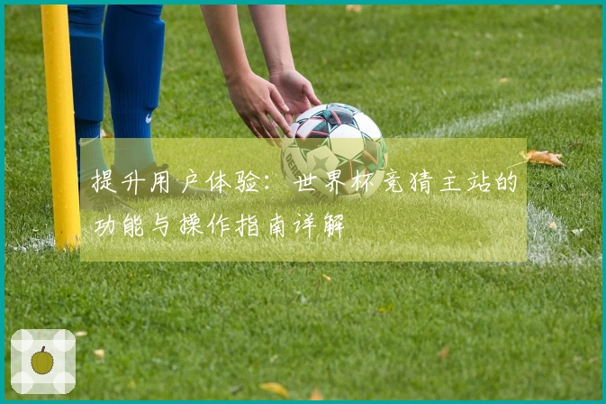 提升用户体验：世界杯竞猜主站的功能与操作指南详解