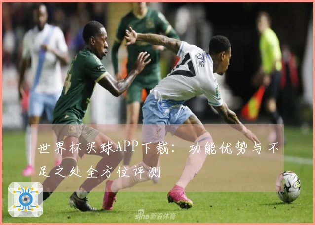 世界杯买球APP下载：功能优势与不足之处全方位评测
