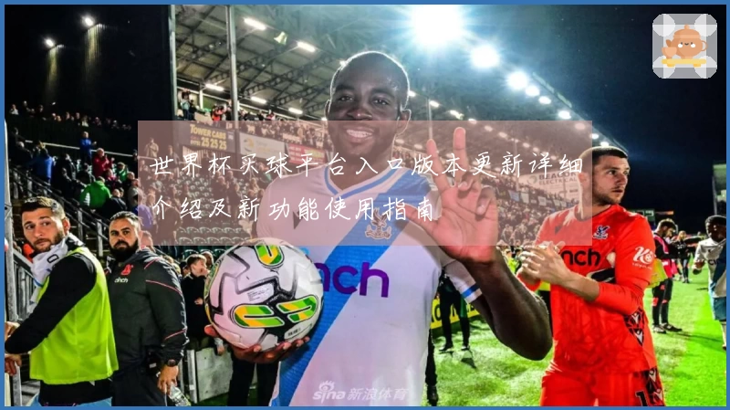 世界杯买球平台入口版本更新详细介绍及新功能使用指南