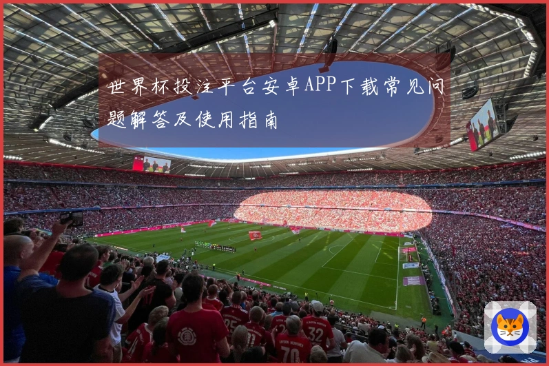 世界杯投注平台安卓APP下载常见问题解答及使用指南