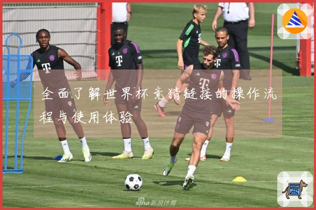 全面了解世界杯竞猜链接的操作流程与使用体验