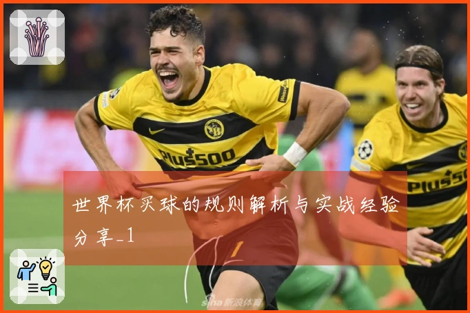 世界杯买球的规则解析与实战经验分享_1