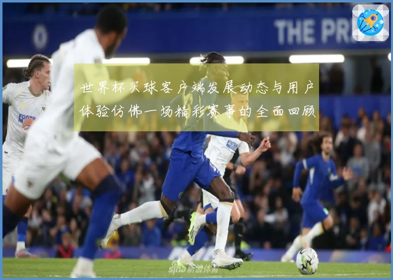 世界杯买球客户端发展动态与用户体验仿佛一场精彩赛事的全面回顾